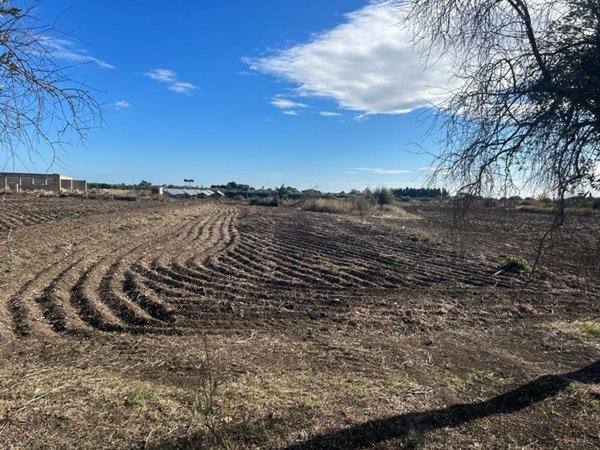 terreno agricolo in vendita a Siracusa