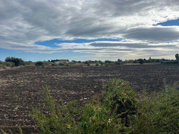 terreno agricolo in vendita a Siracusa