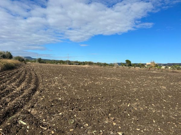 terreno agricolo in vendita a Siracusa