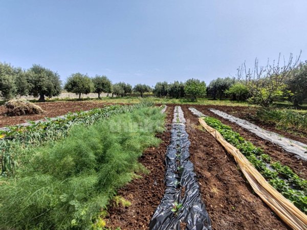casa indipendente in vendita a Siracusa in zona Fontane Bianche