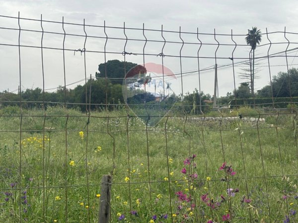 casa indipendente in vendita a Siracusa in zona Centro Città