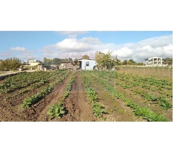 terreno agricolo in vendita a Siracusa in zona Borgata