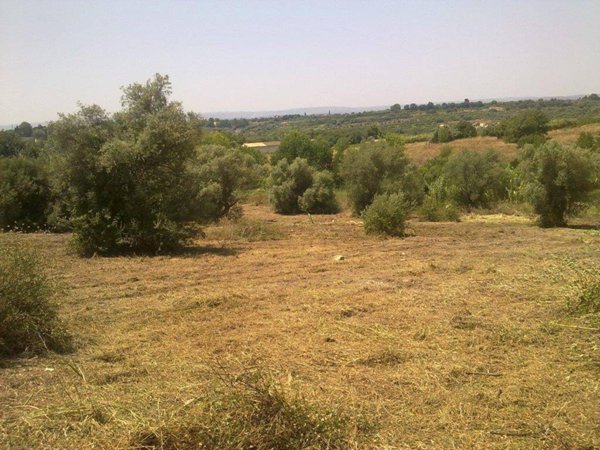 terreno agricolo in vendita a Siracusa in zona Belvedere