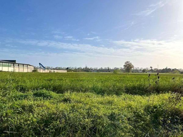 terreno agricolo in vendita a Siracusa in zona Centro Città