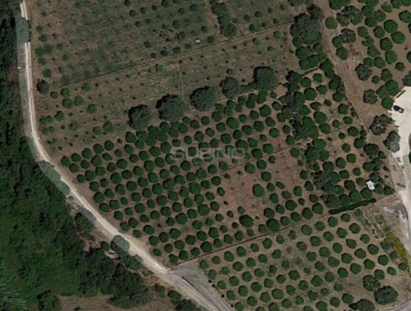 terreno agricolo in vendita a Siracusa
