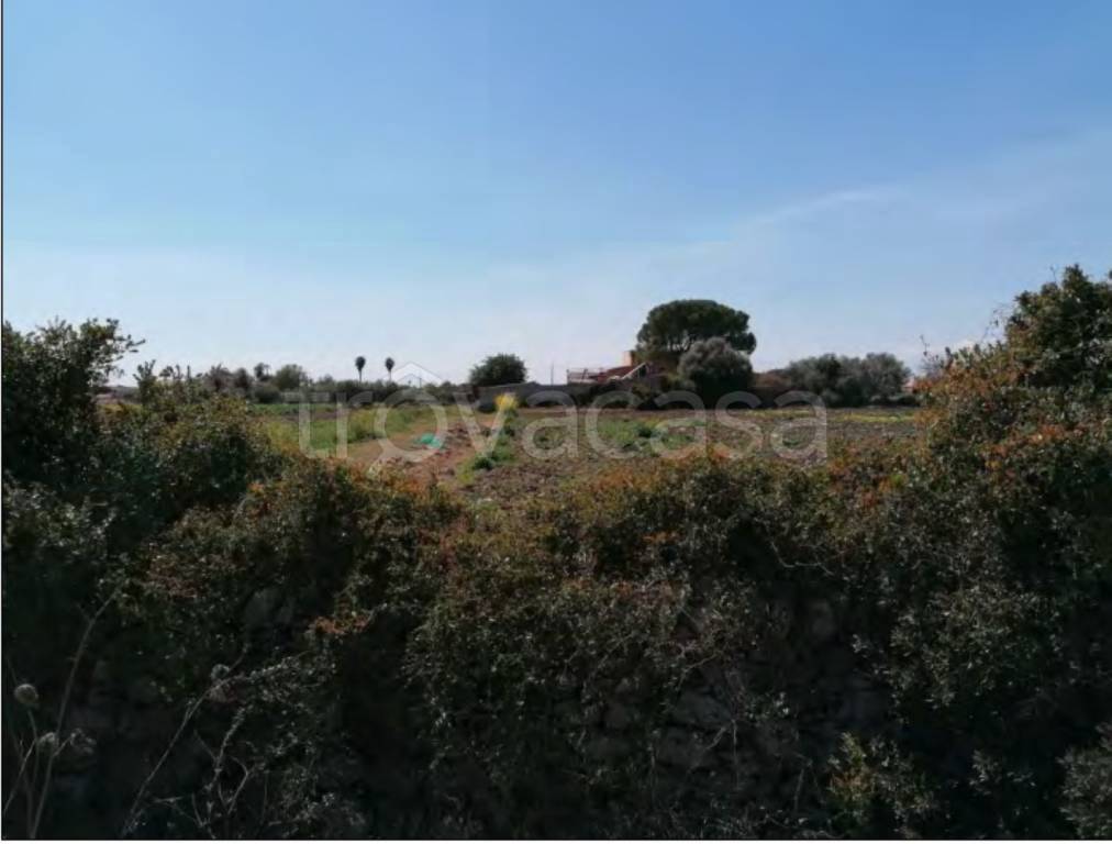 terreno agricolo in vendita a Siracusa in zona Isola / Plemmirio