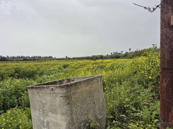 casa indipendente in vendita a Siracusa