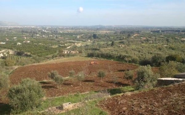 terreno agricolo in vendita a Siracusa in zona Belvedere