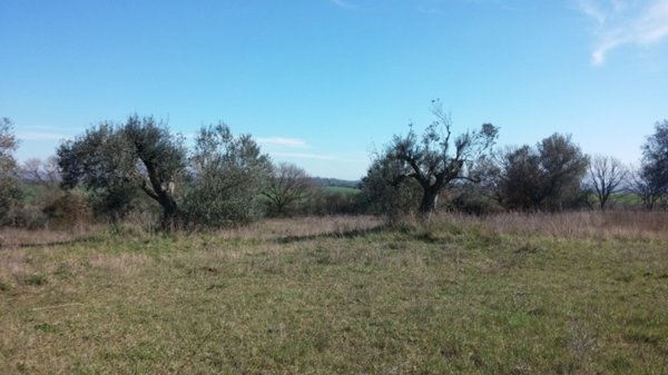 casa indipendente in vendita a Siracusa in zona Centro Città