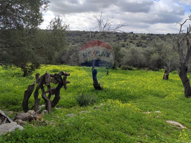 casa indipendente in vendita a Siracusa in zona Cassibile