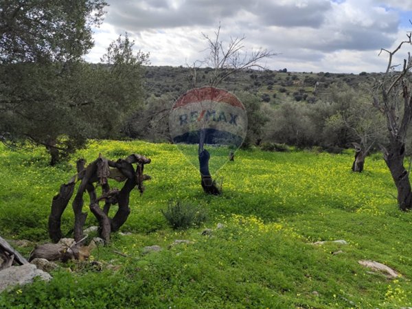 casa indipendente in vendita a Siracusa in zona Cassibile