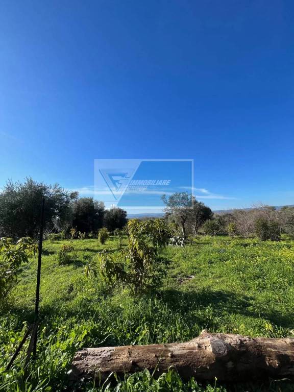 terreno agricolo in vendita a Siracusa in zona Belvedere
