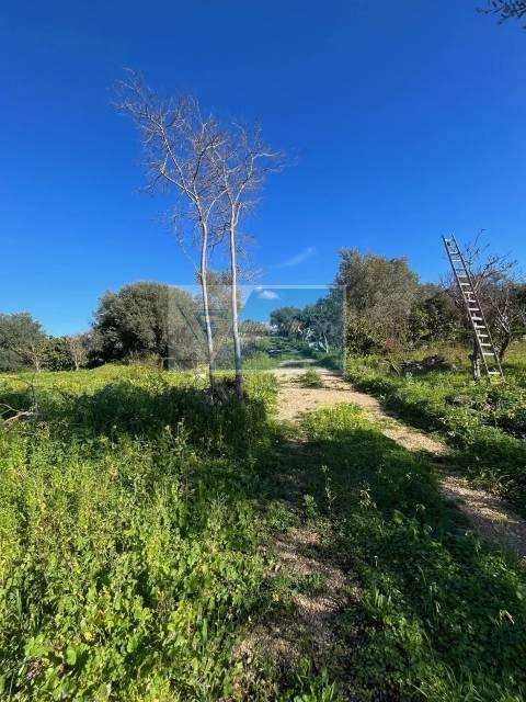 terreno agricolo in vendita a Siracusa in zona Borgata