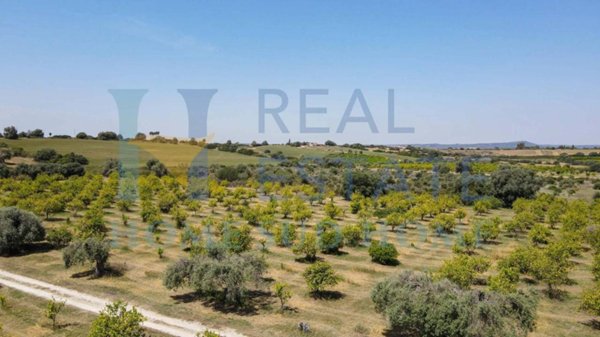casa indipendente in vendita a Siracusa