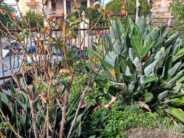 appartamento in vendita a Siracusa in zona Epipoli