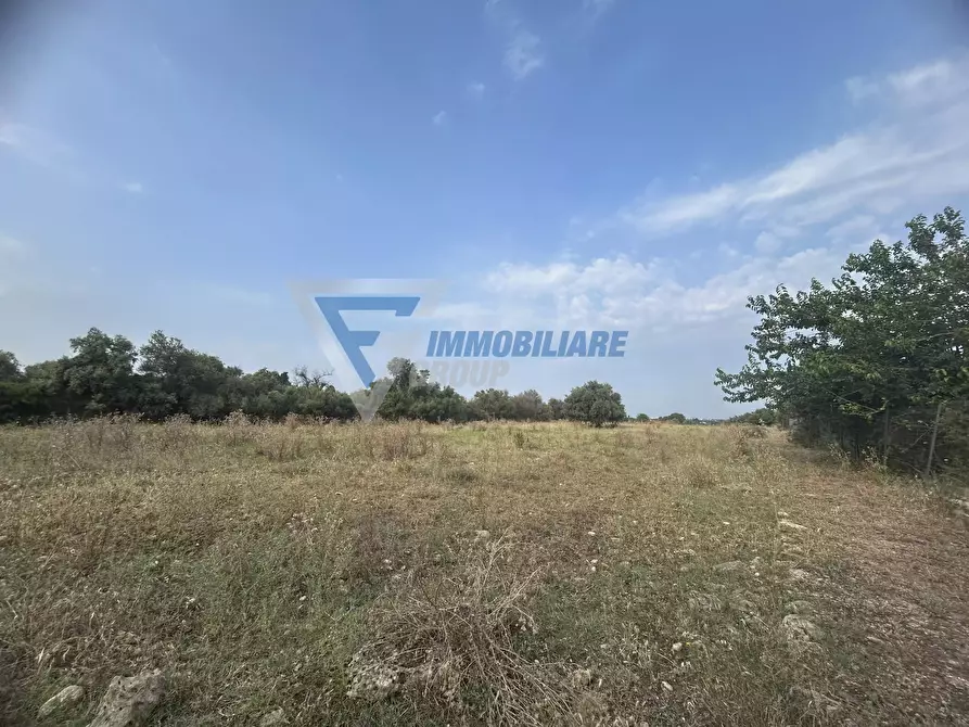 terreno agricolo in vendita a Siracusa in zona Isola Ortigia
