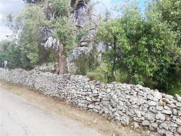 terreno agricolo in vendita a Siracusa in zona Belvedere