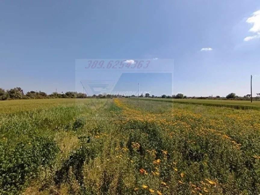 ufficio in vendita a Siracusa in zona Borgata