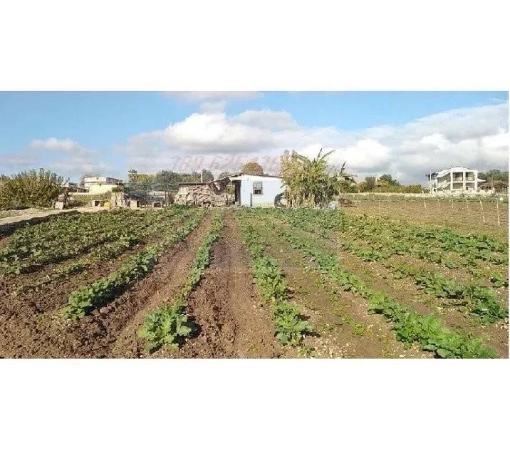 terreno agricolo in vendita a Siracusa in zona Borgata