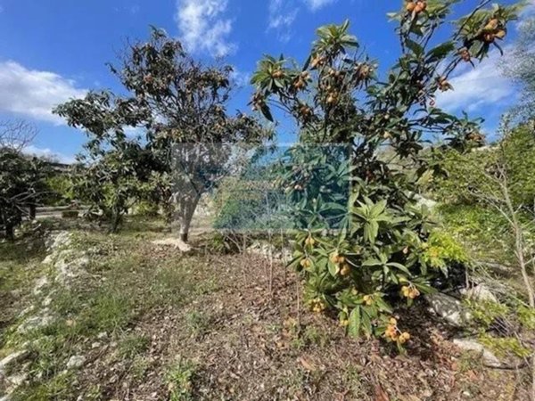 terreno agricolo in vendita a Siracusa in zona Belvedere
