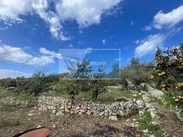 terreno agricolo in vendita a Siracusa in zona Borgata