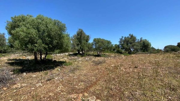 terreno agricolo in vendita a Siracusa in zona Cassibile