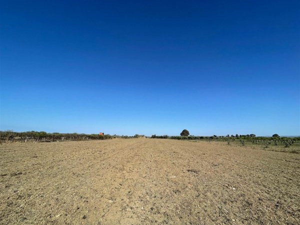 terreno agricolo in vendita a Siracusa