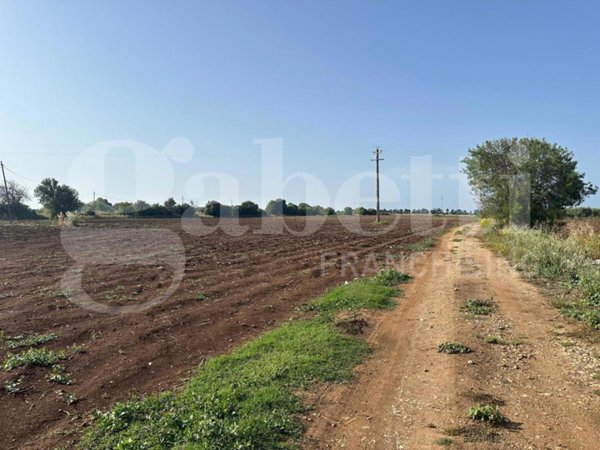 terreno agricolo in vendita a Siracusa in zona Isola / Plemmirio
