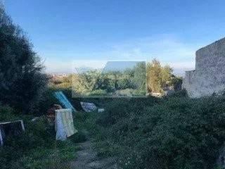 terreno agricolo in vendita a Siracusa in zona Belvedere