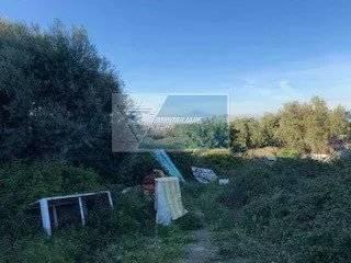 terreno agricolo in vendita a Siracusa in zona Borgata