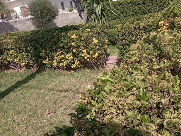 casa indipendente in vendita a Siracusa in zona Arenella