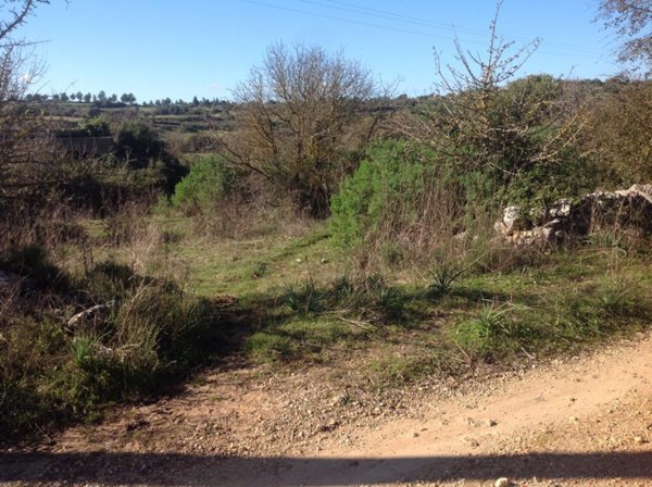 terreno edificabile in vendita a Siracusa in zona Belvedere