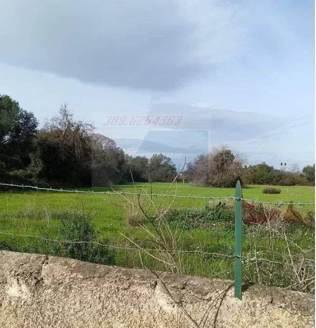 terreno agricolo in vendita a Siracusa in zona Borgata