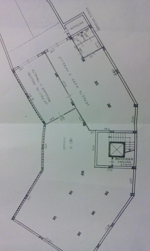 esavano in vendita a Siracusa in zona Isola Ortigia