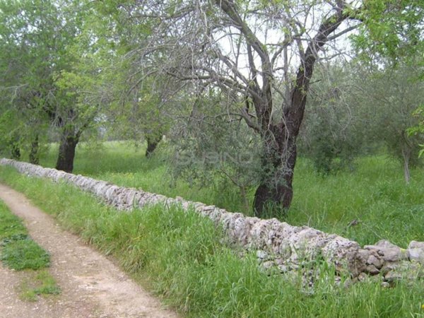 terreno agricolo in vendita a Siracusa