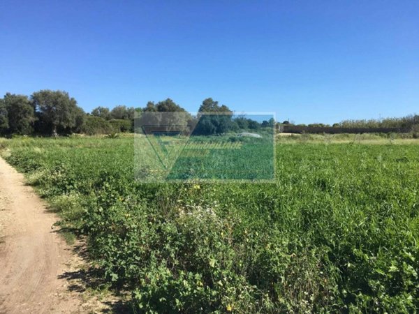 terreno agricolo in vendita a Siracusa in zona Borgata