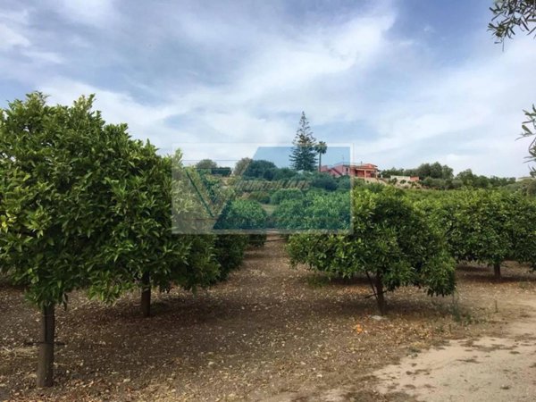 terreno agricolo in vendita a Siracusa in zona Borgata