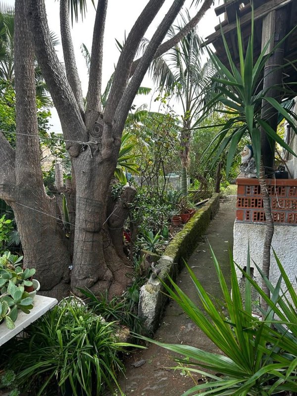 casa indipendente in vendita a Siracusa in zona Centro Città