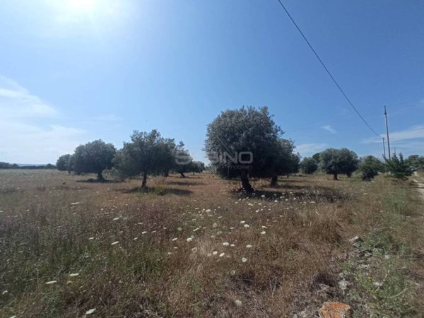terreno agricolo in vendita a Siracusa