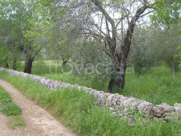 terreno agricolo in vendita a Siracusa