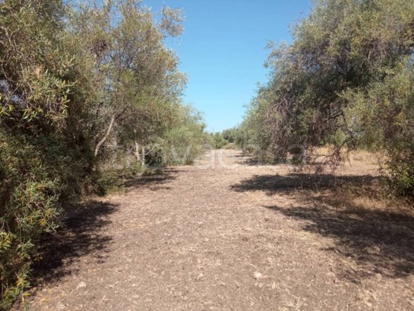 terreno agricolo in vendita a Siracusa