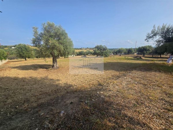 terreno agricolo in vendita a Siracusa in zona Belvedere