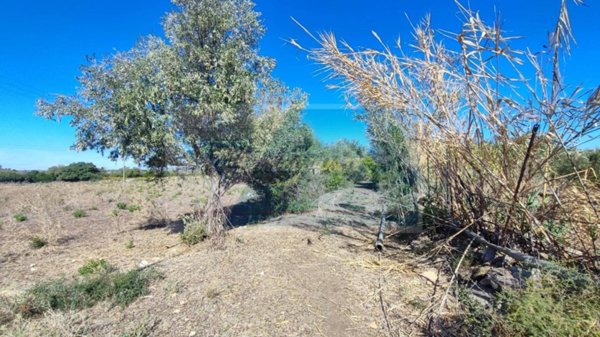terreno agricolo in vendita a Siracusa in zona Borgata