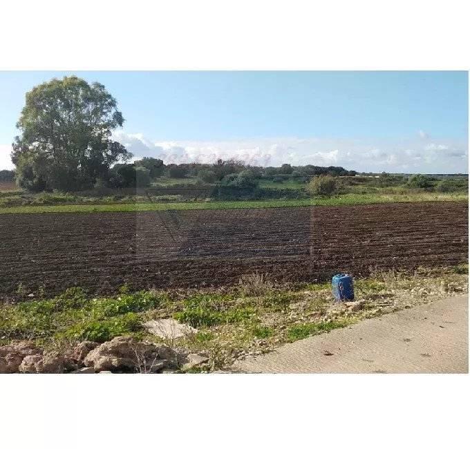 terreno agricolo in vendita a Siracusa in zona Borgata