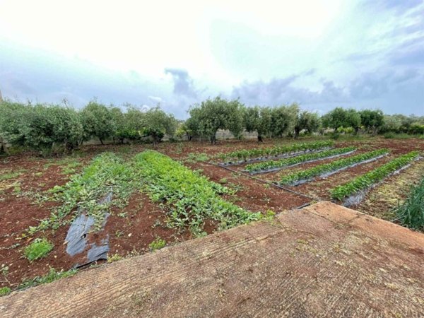 terreno agricolo in vendita a Siracusa in zona Arenella