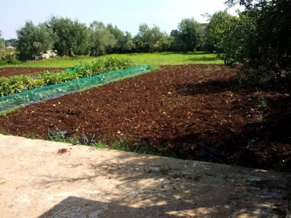 terreno agricolo in vendita a Siracusa in zona Arenella