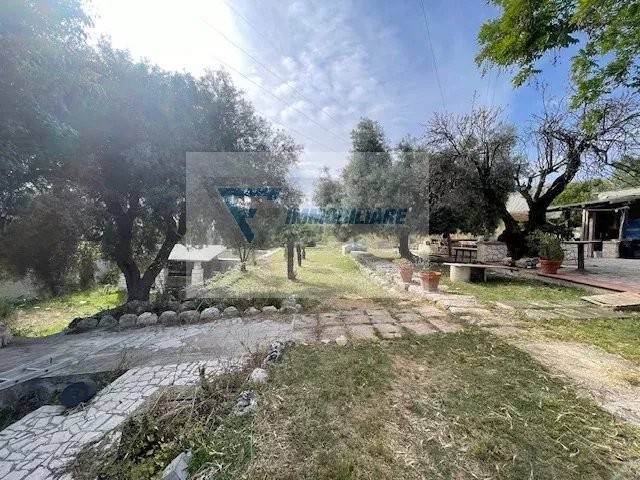 terreno agricolo in vendita a Siracusa in zona Belvedere