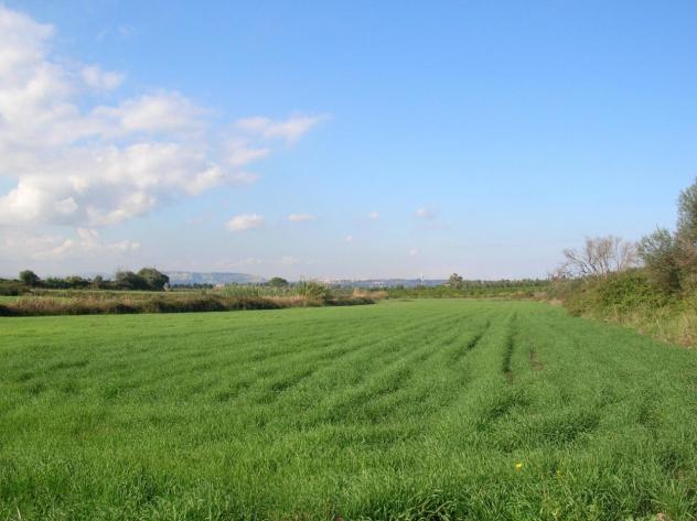 terreno edificabile in vendita a Siracusa