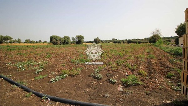 terreno agricolo in vendita a Siracusa in zona Isola / Plemmirio