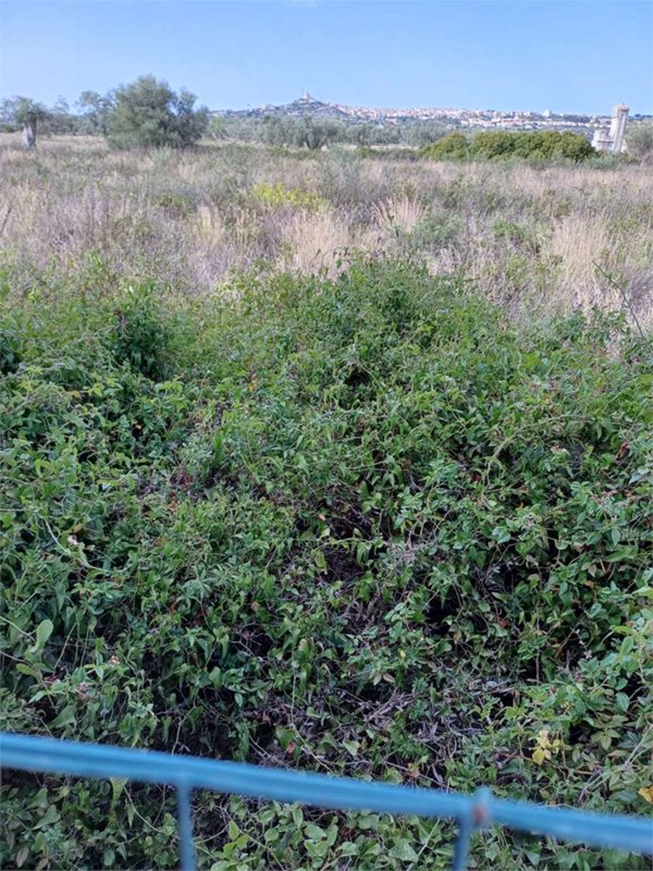 terreno agricolo in vendita a Siracusa